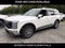 2027 Hyundai PALISADE SEL AWD